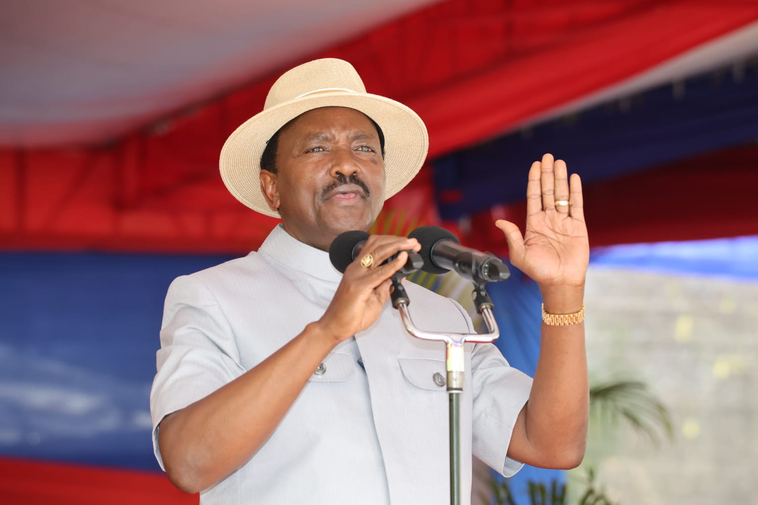 H.E. Dr. Stephen Kalonzo Musyoka, Party Leader